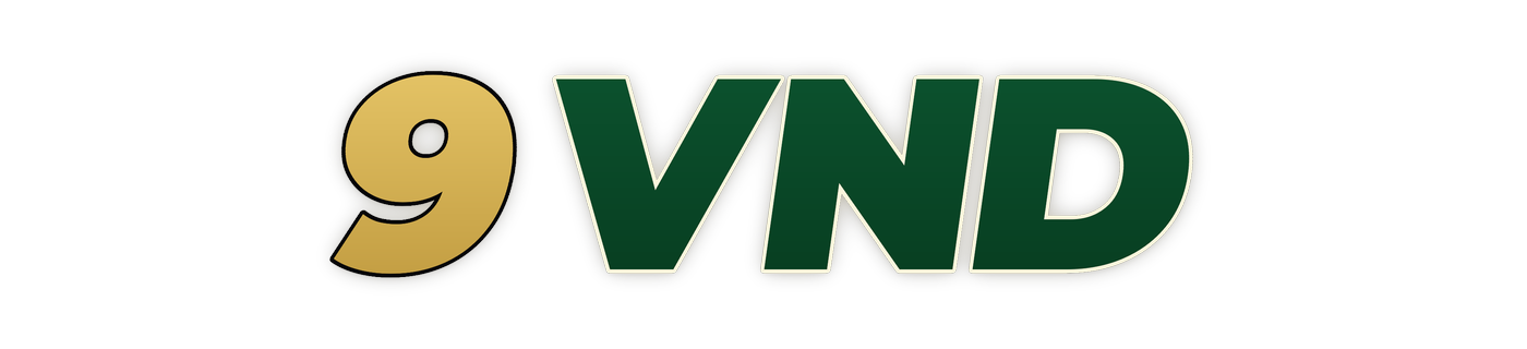 9vnd logo